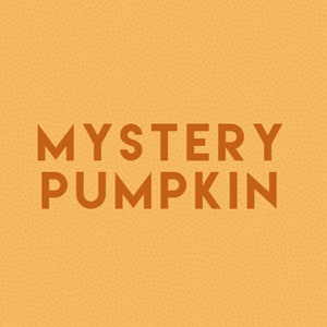 Mystery Pumpkin GRATIS VERZENDING, close-outkleuren, niet helemaal perfect, modern rustiek herfstmanteldecor, decor van het boerderijstuk