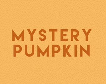 Mystery Pumpkin FREE SHIPPING, closeout colors, not quite perfects, modern rustic fall mantle decor, farmhouse centerpiece decor