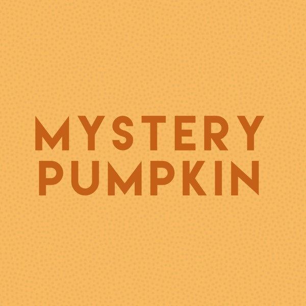 Mystery Pumpkin FREE SHIPPING, closeout colors, not quite perfects, modern rustic fall mantle decor, farmhouse centerpiece decor