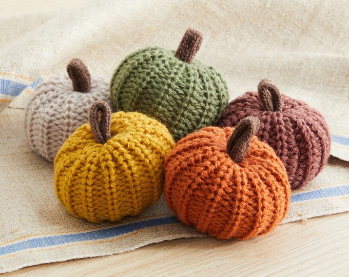 Knit pumpkins Thanksgiving decorations for table SET OF 5, mini pumpkin decor fall decor for bookshelf, fall hosting decor, autumn tiered
