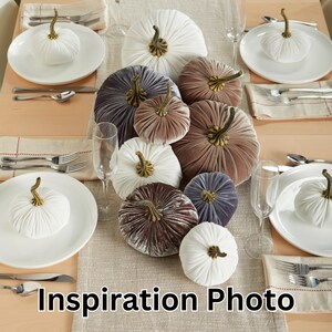 May include: A table setting featuring white plates, cutlery, and velvet pumpkins in shades of white, grey, and brown. The pumpkins have bronze stems. The text "Inspiration Photo" is visible.