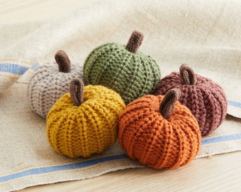 Set of 5 Mini Knit Pumpkins, Autumn Bowl Filler, Decorative Pumpkin for table, Fall Pumpkin Tray Decor for Coffee Table, Farmhouse Mantel