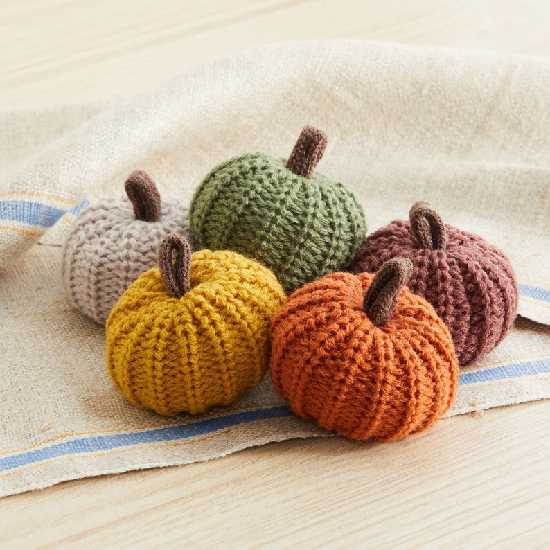 Mini Knit Pumpkins Set of 5 autumn bowl fillers decorative image 1