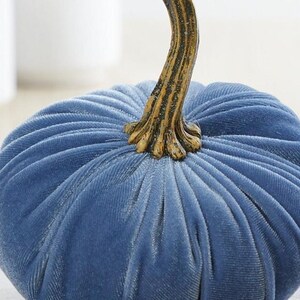 May include: A blue velvet pumpkin with a gold-painted stem. The pumpkin has a slightly textured surface and is a decorative item.