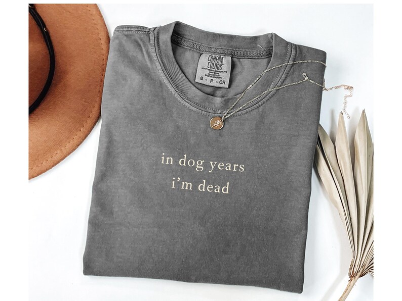May include: A grey Comfort Colors t-shirt with the text "in dog years i'm dead" in white. A gold pendant necklace and a brown hat are also in the image. A dried plant is on the right side.