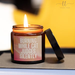 Bougie parfumée chat : « Brûler pendant que le chat juge silencieusement » - Aromathérapie Décoration d&#39;intérieur