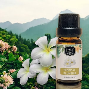 May include: A small amber glass bottle with a black cap, containing Tropical Plumeria essential oil. The bottle is labeled with the text "R&J Rainforest Oils" and "Tropical Plumeria 10ml/0.34fl.oz". The bottle is sitting on a table with white flowers in the background.