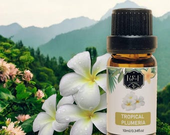 Aceite de plumeria tropical, pintura al óleo, tropical, aceite de perfume, flores tropicales, perfume de plumeria, perfume floral