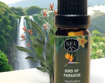 Aceite esencial de ave del paraíso, 100% puro y natural