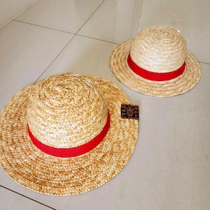 May include: Two straw hats with red bands. The larger hat has a brown label with the text "NO IM AN EV", and the smaller hat does not have a label.