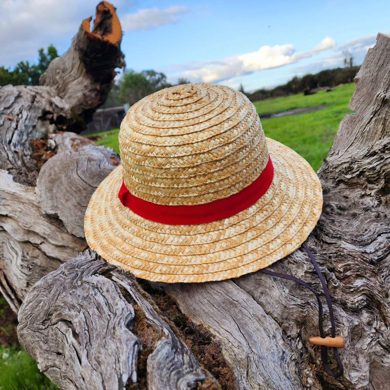 Large One Piece Luffy Straw Hat for Adults - for Cosplay or