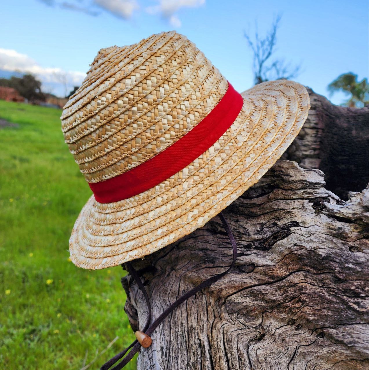 Large One Piece Luffy Straw Hat for Adults - for Cosplay or