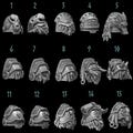 Primal Hounds Big Shoulder Pads | 32mm 3D Printed Tabletop Bits | Greytide Studio product logo