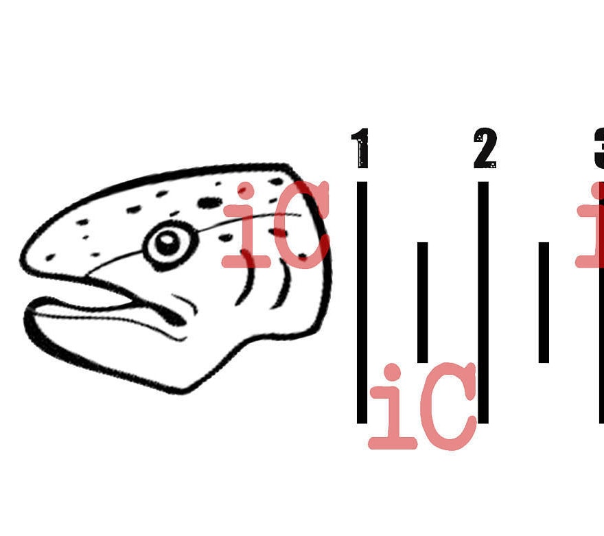 Download SVG TROUT Eat Sleep Fish with ruler | Etsy