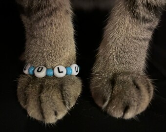 Pulseras de la amistad para mascotas