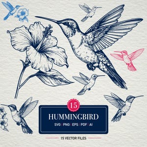 May include: Detailed illustration of hummingbirds and a hibiscus flower in various poses. The image features a navy blue and white color scheme, with a red hummingbird. A navy blue rectangle contains the word "HUMMINGBIRD" and "15 VECTOR FILES".