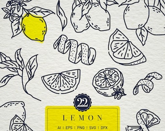 Pacchetto SVG di illustrazioni di agrumi botanici / illustrazioni di linee di limone (download digitale)