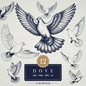 Könnte beinhalten: Eine Sammlung von 12 Vektordateien mit detaillierten Illustrationen von Tauben in verschiedenen Posen. Die Bilder sind in Schwarzweiß gehalten und haben einen Vintage-Stil. Der Text "DOVE" wird in einem marineblauen Rechteck mit Dateityp-Abkürzungen angezeigt.