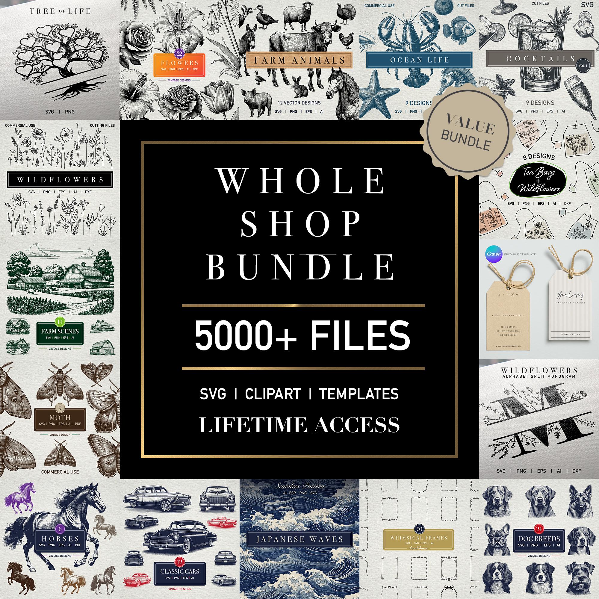 Lifetime Whole Shop SVG Clipart Template Designs: 5000+ Files (Digi…