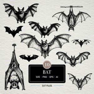 May include: A collection of ten bat illustrations in black and white. The bats are depicted in various poses, including flying and hanging upside down. The image includes the word "BAT" and "CUT FILES".