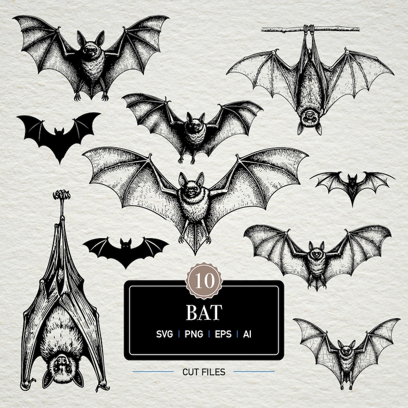 Bat .svg - Etsy