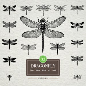 Op de afbeelding: Een verzameling van 33 libellen snijbestanden in SVG-, PNG-, EPS-, AI- en DXF-formaten. De libellen zijn zwart-wit, met gedetailleerde vleugelpatronen. De afbeelding bevat een verscheidenheid aan libellenontwerpen, van eenvoudig tot ingewikkeld.