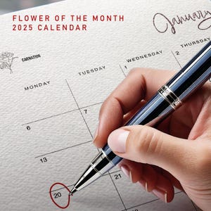Calendario 2025 Mes de nacimiento Planificador mensual de flores Paisaje Calendario mensual elegante Inicio domingo y lunes Calendario de pared tamaño carta A4 2025
