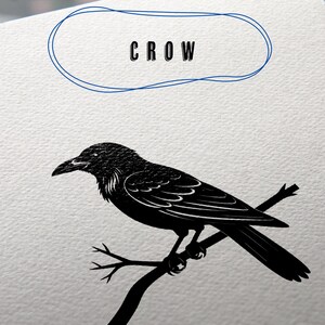 May include: A black crow illustration perched on a branch, with the word "CROW" above it in a blue outlined oval. The crow is detailed with textured feathers and a sharp beak, set against a textured white background.