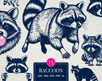 Raccoon Vector Clipart | 12 Woodland Animal Designs (SVG PNG EPS)