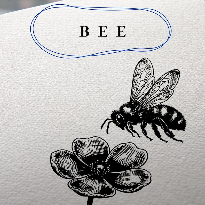 Bee SVG Bundle | Vintage Bee and Honey Line Art | 12 Botanical Insect ...