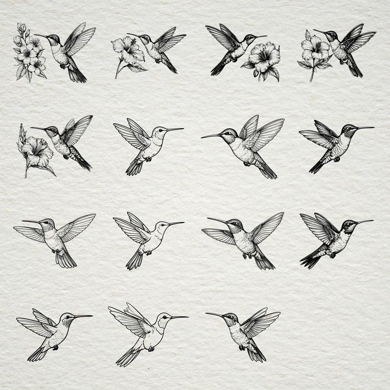 Hummingbird Line Art SVG Bundle | Vintage Floral Vector (15 Files) - Etsy