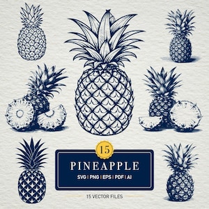 May include: A collection of navy blue pineapple illustrations in various styles. Some pineapples are whole, while others are sliced to show the interior. A rectangular sign with the word "PINEAPPLE" and file type information is also included.
