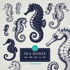 May include: A collection of 16 detailed seahorse illustrations in various sizes and poses, rendered in a vintage, engraved style. The designs are in shades of navy blue and white, with a rectangular label that reads "SEA HORSE".