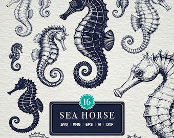 Seahorse SVG Bundle | 16 Nautical Designs (Digital Download)