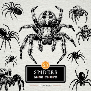 May include: A collection of black and white spider illustrations in various poses. The image includes a central, detailed spider and a rectangular graphic with the word "SPIDERS" and file type information. The graphic also states "23 CUT FILES".