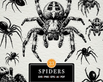 Vintage Spindel SVG Bundle – Realistisk Arachnid Clipart, Halloween Laserfiler