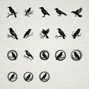 May include: A collection of black raven illustrations in various poses. Some ravens perch on branches, while others are depicted in flight. Several designs are enclosed in circular frames with thorny borders, all on a neutral background.