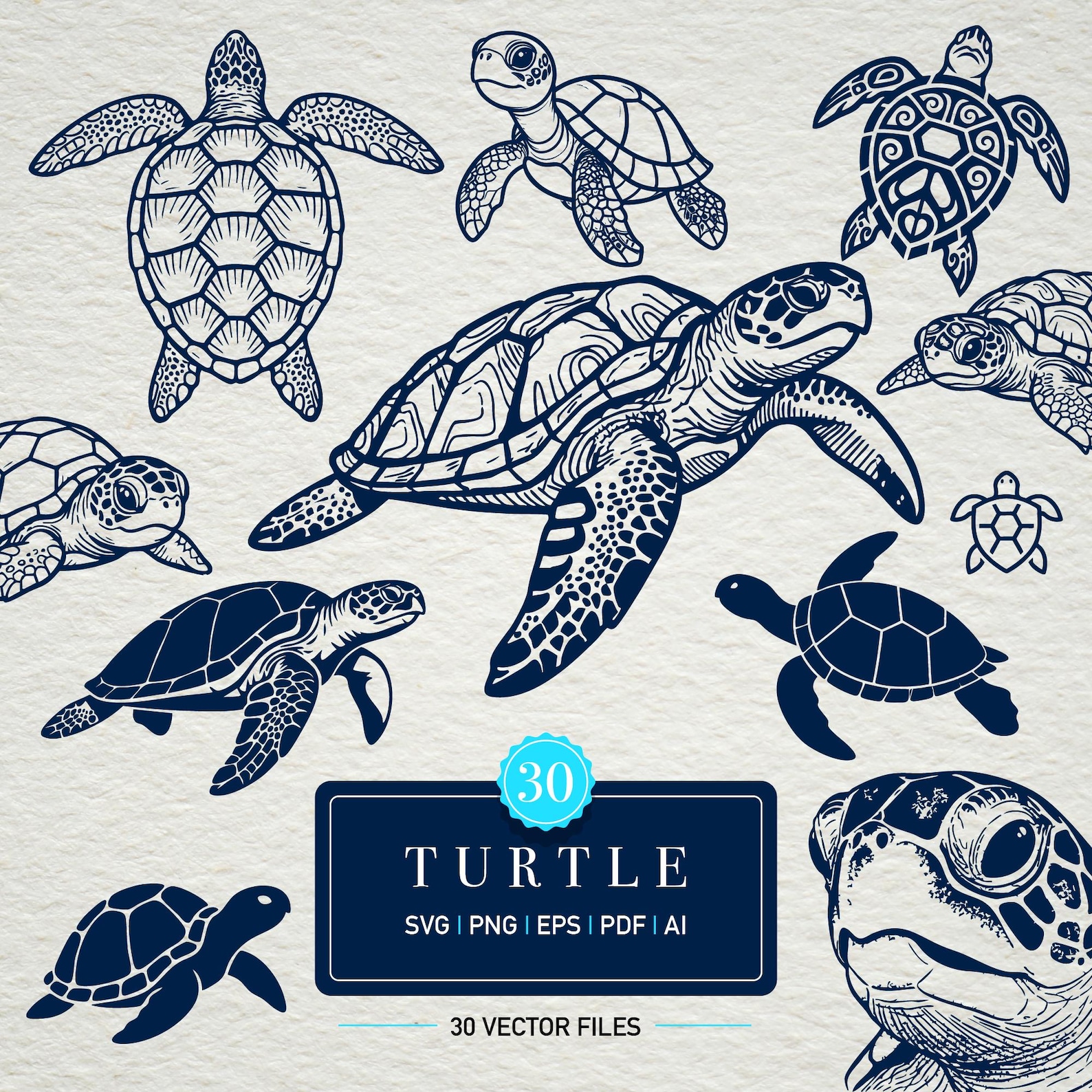 Sea Turtle SVG Bundle | 30 Engraving Style Turtle Illustrations ...