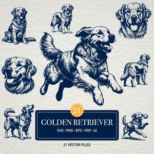 May include: A selection of navy blue and white Golden Retriever illustrations in different poses. The image features a navy blue rectangular banner with the text "GOLDEN RETRIEVER" and "21 VECTOR FILES".