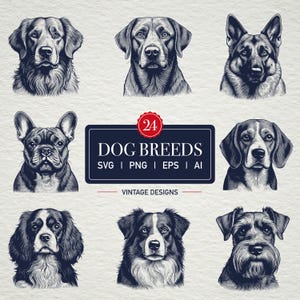 24 Dog Breeds SVG Bundle SVG Cut Files Cricut PNG Dog Lovers Gift Sketch Dog Heads Clipart Vintage Illustrations Cute Dog Breed Labrador