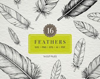 Feather Clipart: 16 Detailed Line Art Illustrations (Digital Download)
