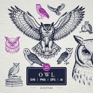 Pode incluir: Uma coleção de ilustrações de corujas em várias poses e estilos, incluindo uma grande coruja com as asas abertas. Os desenhos são em preto e branco com um toque de roxo. A imagem inclui a palavra "OWL" e informações sobre o tipo de arquivo.