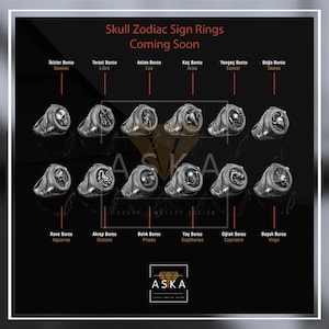 Memento Mori Zodiac Ring Series for Men, Twin Skull Gothic Ring For Dad, Signet Ring For Men in Silver, Punk Ring, Birthday Gift For Him