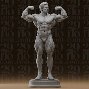 Manlig kroppsbyggare staty - Främre dubbla biceps fitness skulptur - Muskulös atlet gym dekor - Resin figur