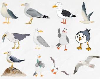 Seagull SVG Bundle, Seagull PNG Bundle, Seagull Clipart, Seagull silhouette, Seagull Cut File, Sea bird Svg, Seagull Digital Download files