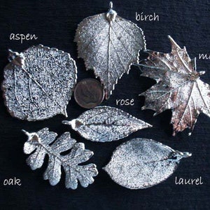 Charme de pendentif feuille d'érable / argent sterling ou 24k or trempé / LARGE Real Genuine Leaf / tpl spl tp gdc image 2