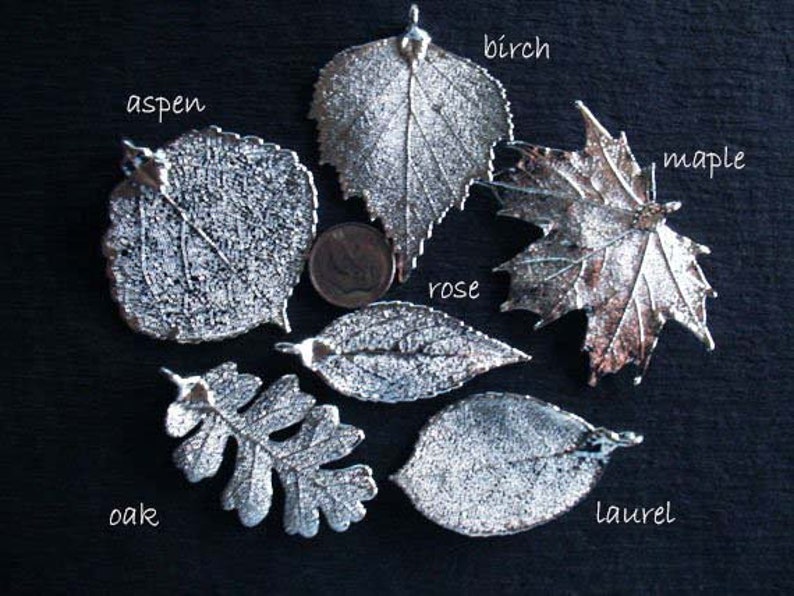 Charme de pendentif feuille d'érable / argent sterling ou 24k or trempé / LARGE Real Genuine Leaf / tpl spl tp gdc image 2