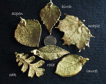 Maple LEAF Pendant Charm / Sterling Silver or 24k Gold Dipped / LARGE Real Genuine Leaf / tpl spl tp gdc