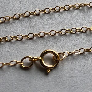 Può includere: Una collana a catena d'oro con chiusura a moschettone.