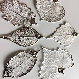Cottonwood Aspen Laurel Oak Genuine Real Dipped LEAF PENDANT Charm, Sterling Silver or 24k Gold Dipped Leaf / nature bridal tpl spl tp